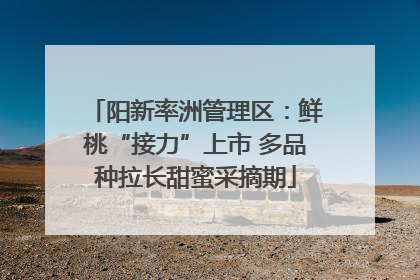 阳新率洲管理区：鲜桃“接力”上市 多品种拉长甜蜜采摘期