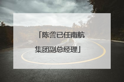 陈詟已任南航集团副总经理