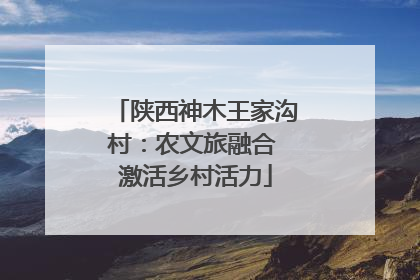 陕西神木王家沟村：农文旅融合 激活乡村活力