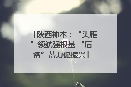 陕西神木：“头雁”领航强根基 “后备”蓄力促振兴