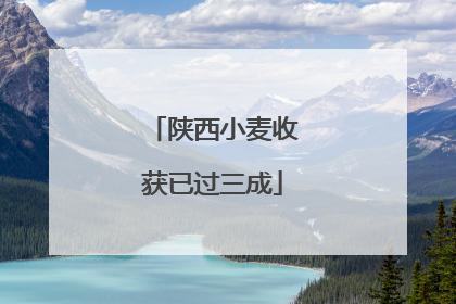 陕西小麦收获已过三成
