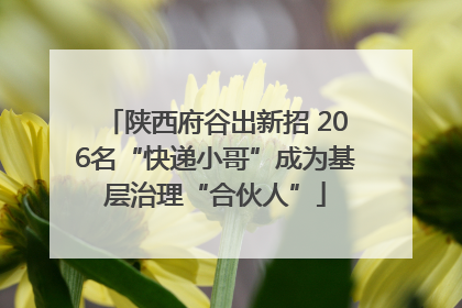 陕西府谷出新招 206名“快递小哥”成为基层治理“合伙人”