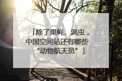 除了果蝇、涡虫，中国空间站还有哪些“动物航天员”