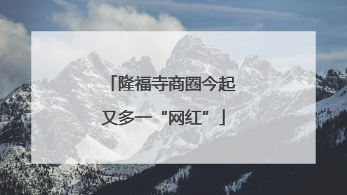 隆福寺商圈今起又多一“网红”