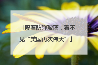隔着防弹玻璃，看不见“美国再次伟大”
