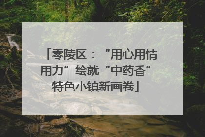 零陵区：“用心用情用力”绘就“中药香”特色小镇新画卷