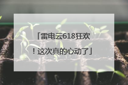 雷电云618狂欢！这次真的心动了