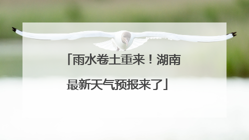 雨水卷土重来！湖南最新天气预报来了