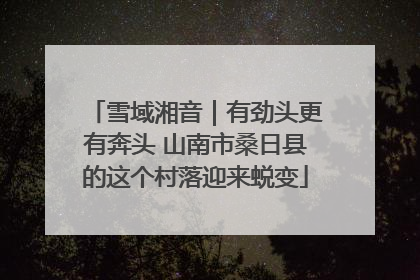雪域湘音｜有劲头更有奔头 山南市桑日县的这个村落迎来蜕变