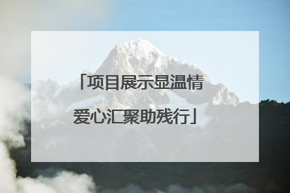项目展示显温情 爱心汇聚助残行