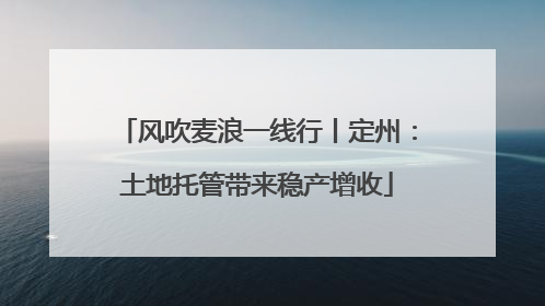 风吹麦浪一线行丨定州：土地托管带来稳产增收