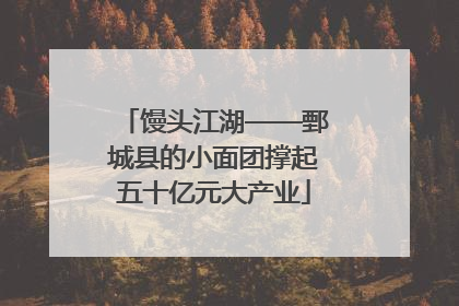 馒头江湖——鄄城县的小面团撑起五十亿元大产业