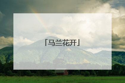 马兰花开