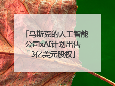 马斯克的人工智能公司xAI计划出售3亿美元股权