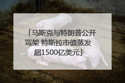 马斯克与特朗普公开骂架 特斯拉市值蒸发超1500亿美元