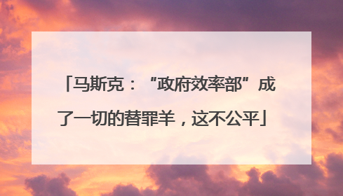 马斯克：“政府效率部”成了一切的替罪羊，这不公平