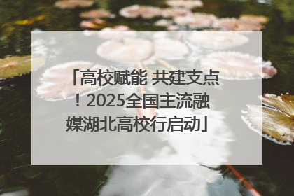 高校赋能 共建支点！2025全国主流融媒湖北高校行启动