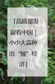 高质量发展看中国｜小小大蒜种出“辣”经济