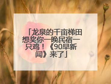 龙泉的千亩梯田想奖你一晚民宿一只鸡！《90早新闻》来了