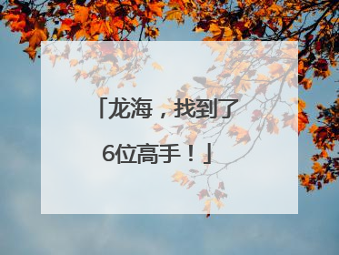 龙海，找到了6位高手！
