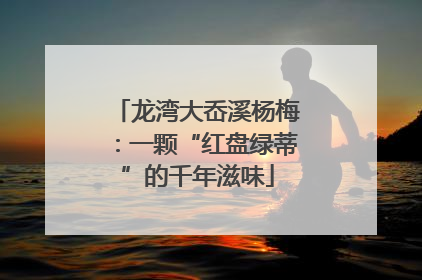 龙湾大岙溪杨梅：一颗“红盘绿蒂”的千年滋味