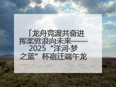 龙舟竞渡共奋进 挥桨劈浪向未来——2025“洋河·梦之蓝”杯宿迁端午龙舟赛侧记