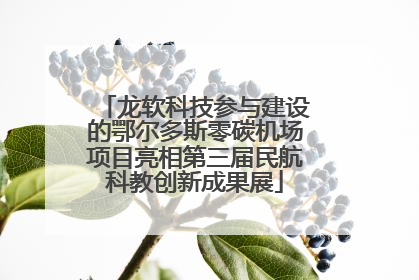 龙软科技参与建设的鄂尔多斯零碳机场项目亮相第三届民航科教创新成果展