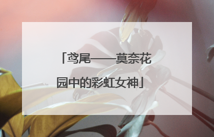 鸢尾——莫奈花园中的彩虹女神