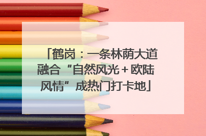鹤岗：一条林荫大道融合“自然风光＋欧陆风情”成热门打卡地