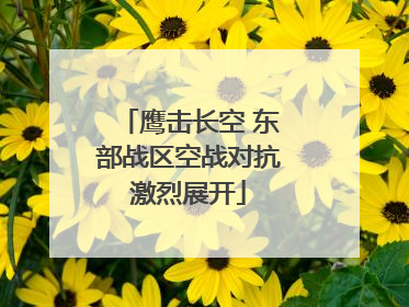 鹰击长空 东部战区空战对抗激烈展开