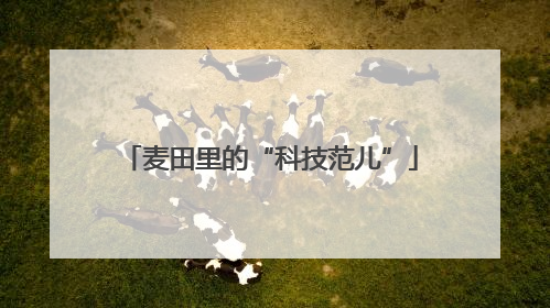 麦田里的“科技范儿”
