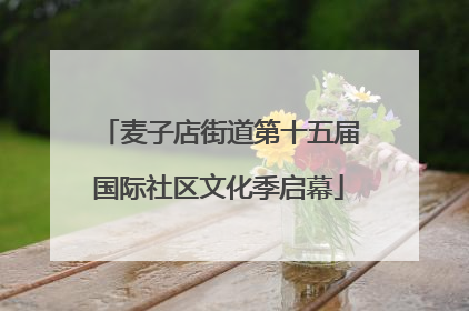 麦子店街道第十五届国际社区文化季启幕
