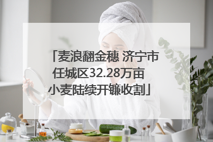 麦浪翻金穗 济宁市任城区32.28万亩小麦陆续开镰收割