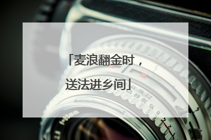 麦浪翻金时，送法进乡间