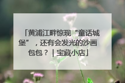 黄浦江畔惊现“童话城堡”，还有会发光的沙画包包？｜宝藏小店