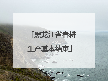 黑龙江省春耕生产基本结束