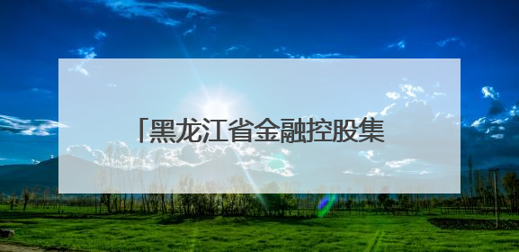 黑龙江省金融控股集团有限公司原党委书记、董事长于宏接受纪律审查和监察调查