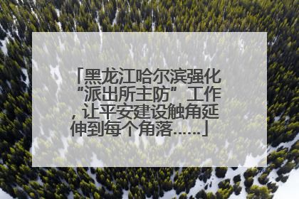 黑龙江哈尔滨强化“派出所主防”工作，让平安建设触角延伸到每个角落……
