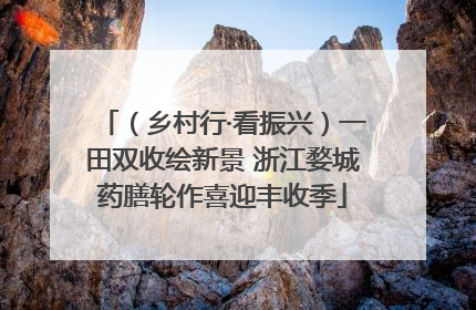 （乡村行·看振兴）一田双收绘新景 浙江婺城药膳轮作喜迎丰收季