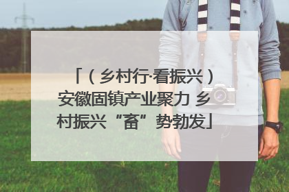（乡村行·看振兴）安徽固镇产业聚力 乡村振兴“畜”势勃发