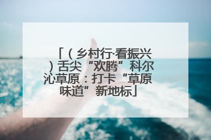 （乡村行·看振兴）舌尖“欢腾”科尔沁草原：打卡“草原味道”新地标