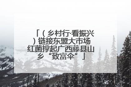 （乡村行·看振兴）链接东盟大市场 红菌撑起广西藤县山乡“致富伞”