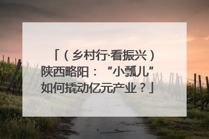 （乡村行·看振兴）陕西略阳：“小瓢儿”如何撬动亿元产业？