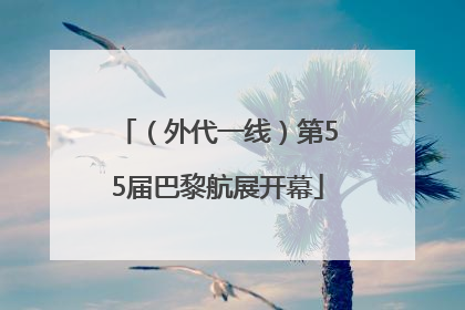 （外代一线）第55届巴黎航展开幕