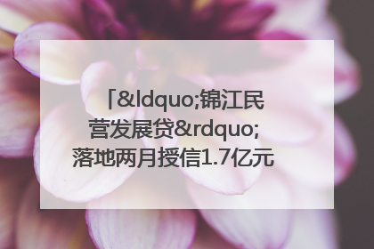 “锦江民营发展贷”落地两月授信1.7亿元，惠及118家民企