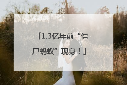 1.3亿年前“僵尸蚂蚁”现身！