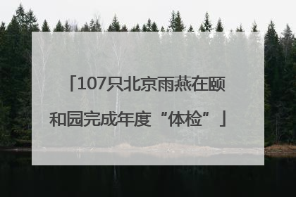 107只北京雨燕在颐和园完成年度“体检”