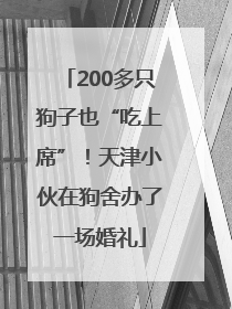 200多只狗子也“吃上席”！天津小伙在狗舍办了一场婚礼
