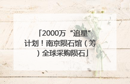 2000万“追星”计划！南京陨石馆（筹）全球采购陨石