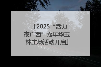 2025“活力夜广西”嘉年华玉林主场活动开启